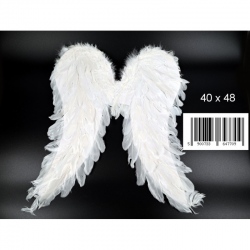 Skrzydła anioła 40x48