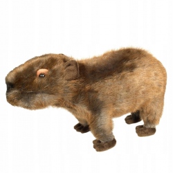 BEPPE Maskotka Kapibara 33 cm